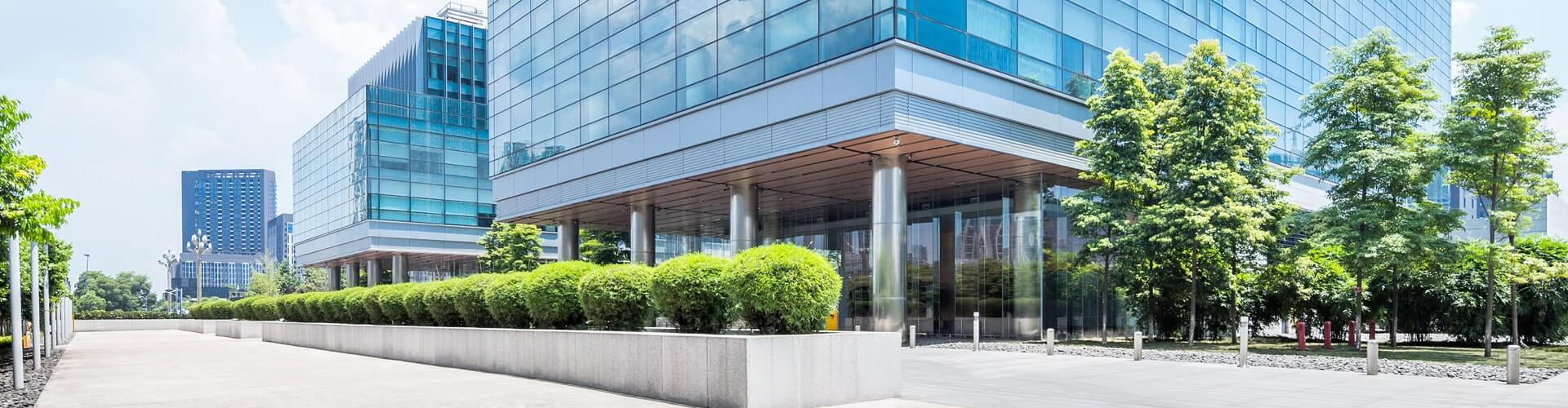 Green trees and shrubs in front of glass office buildings