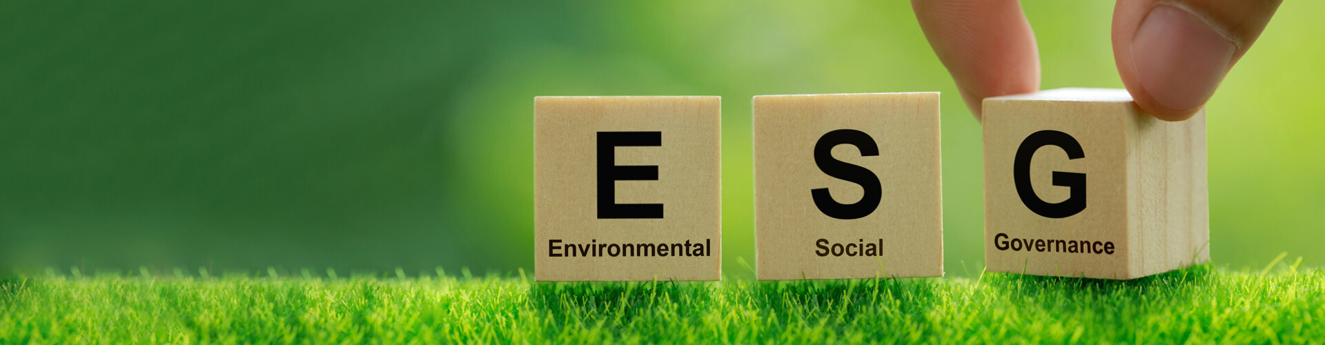 Three wooden blocks with black letters E, S and G on a green background.
