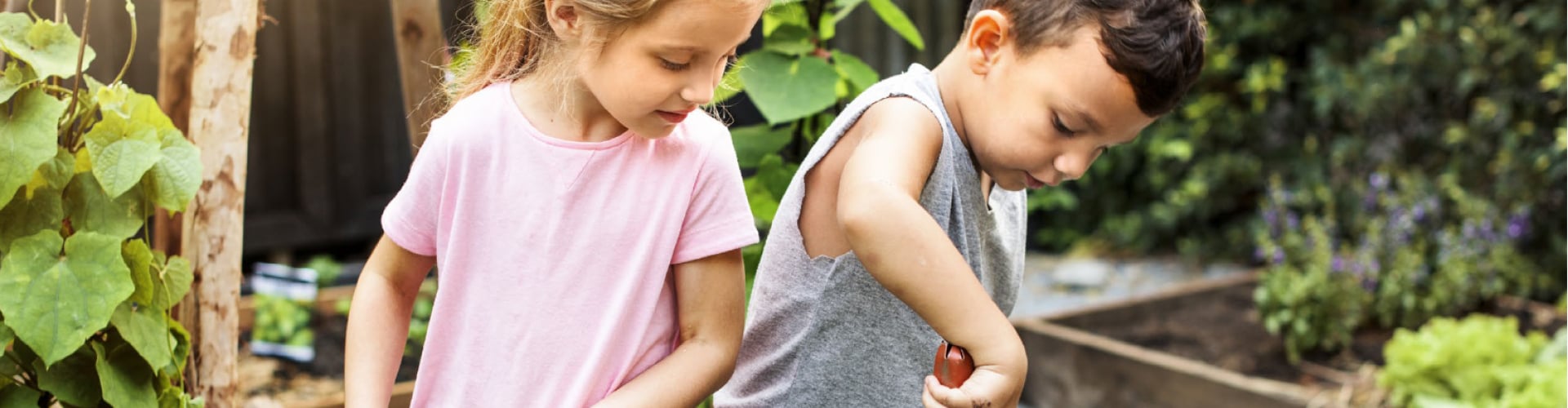 kids helping care for organic vegetable grown garden