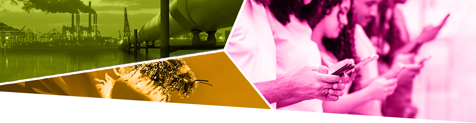 Mixed image of pipeline, bee and people on mobile phones