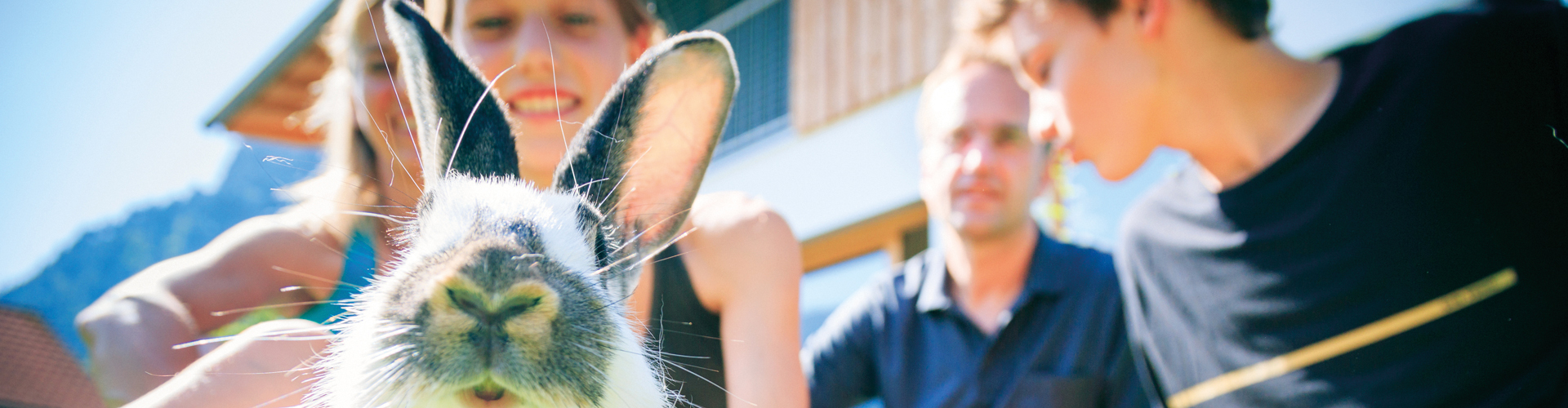 Image of a rabbit looking into camera with people behind