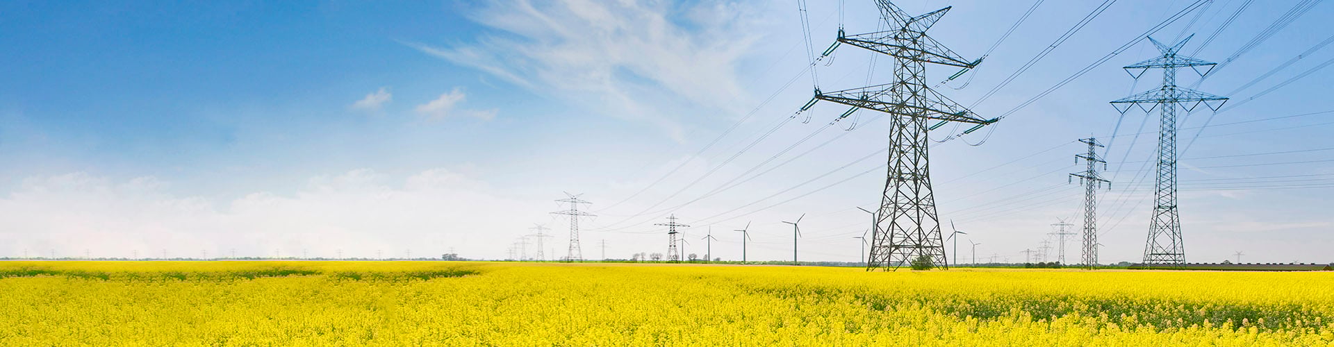 Powerlines and Wind turbines