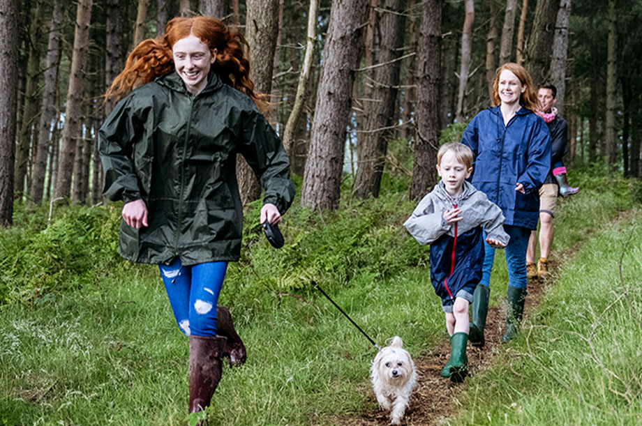 A family with a dog is walking in the forest