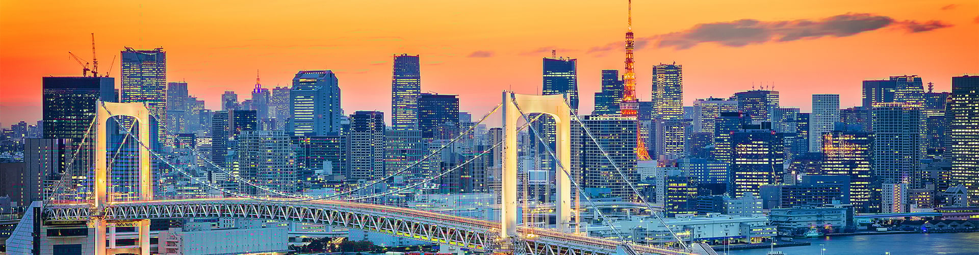 Tokyo skyline