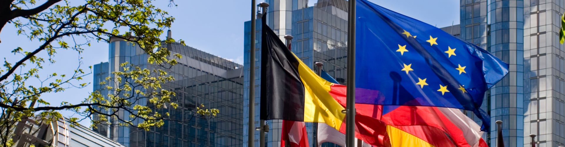 EU members flags