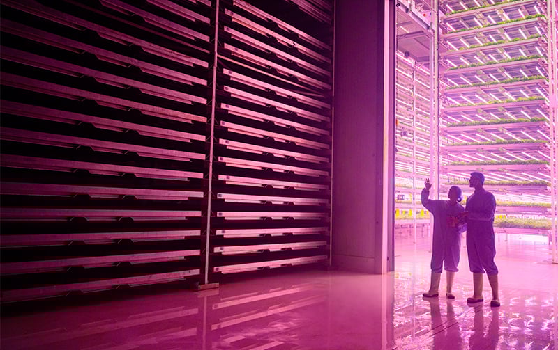 Two people in lab clothes under artificial pink lighting
