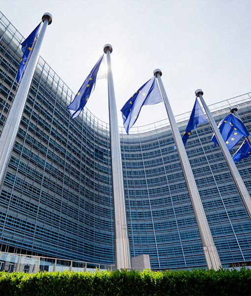 European Union Flags