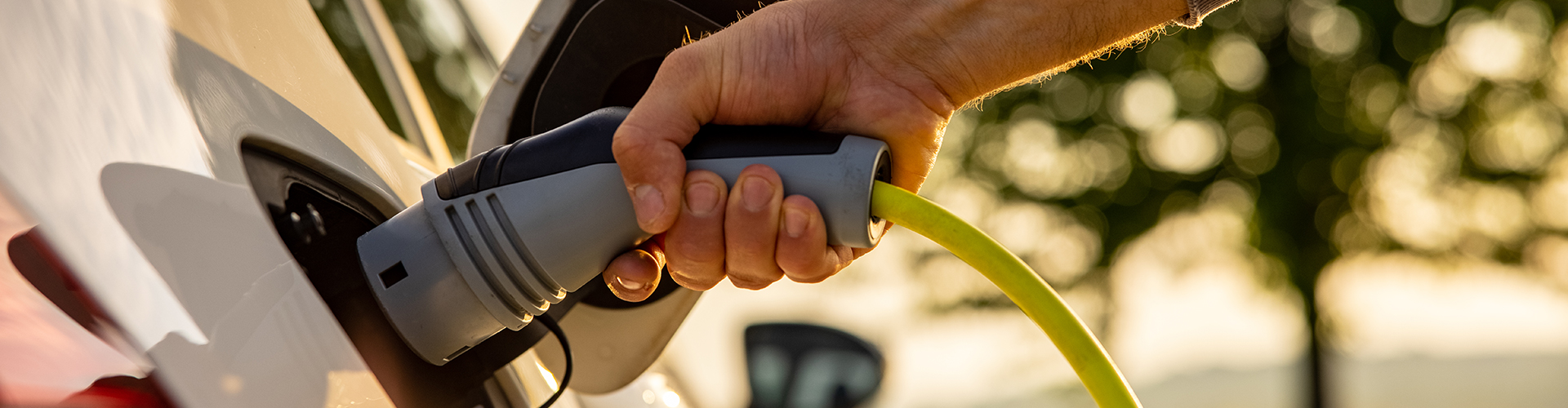 electric vehicle
