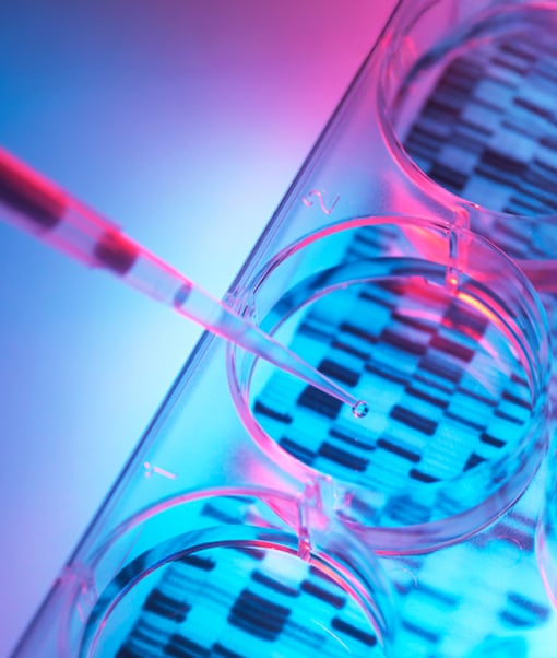 Pipette above a glass dish in a lab