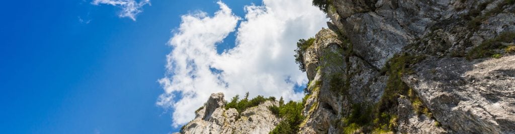 Fixed income outlook 2026 - Mountain view