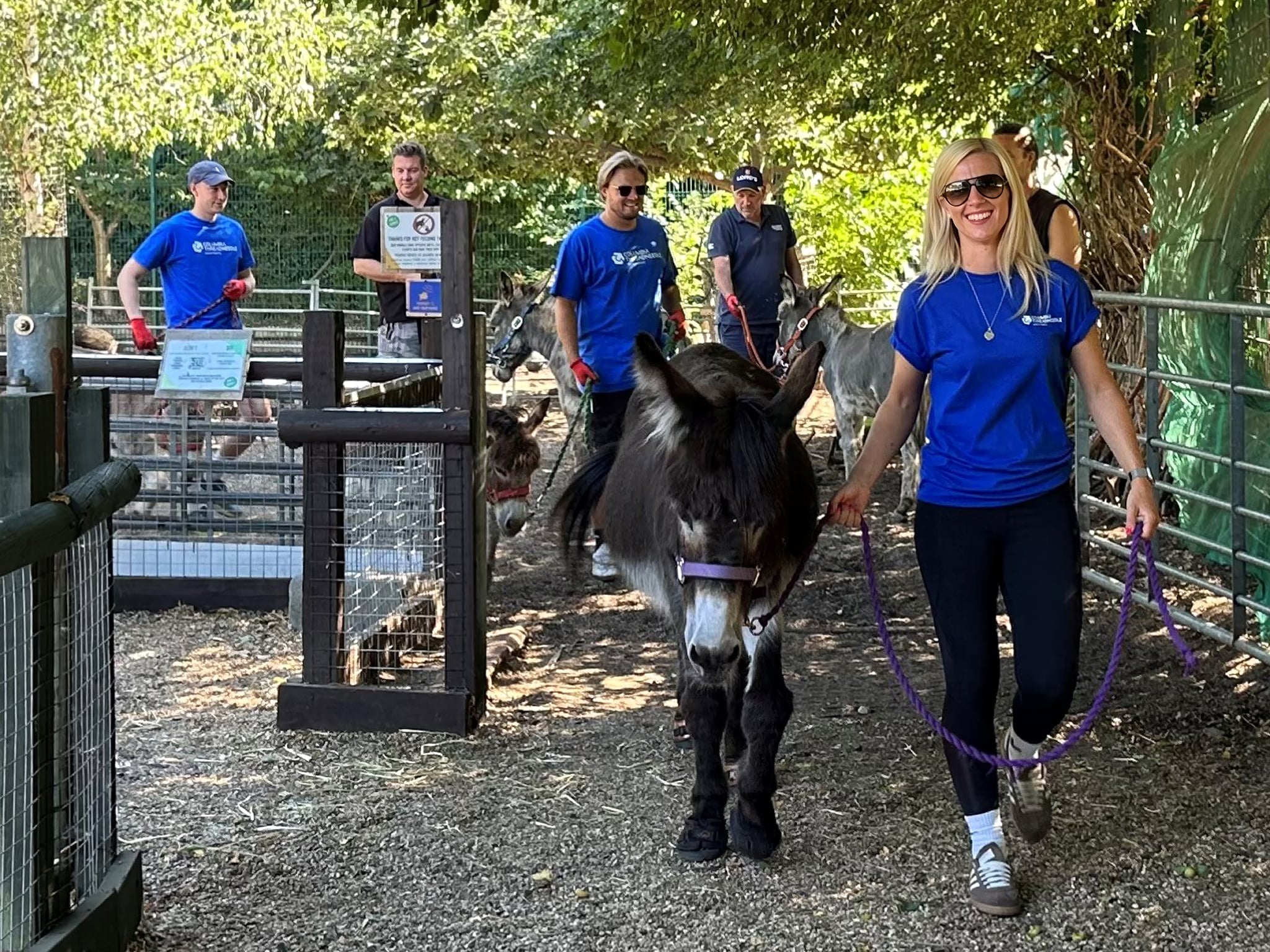 Columbia Threadneedle Investments employees guiding donkeys through a sanctuary